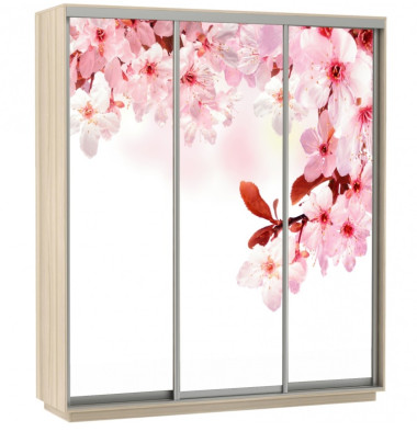 Шкаф-купе Экспресс фотопечать &quot;Сакура&quot; — Аэлита